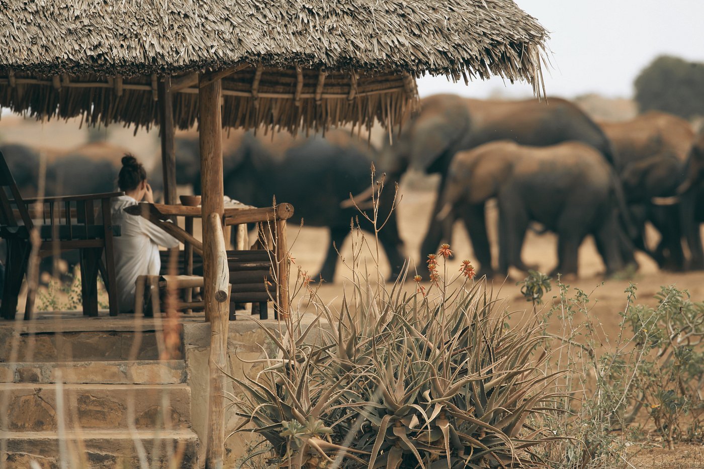 Satao Tented Camp - Tsavo East hotel view 4